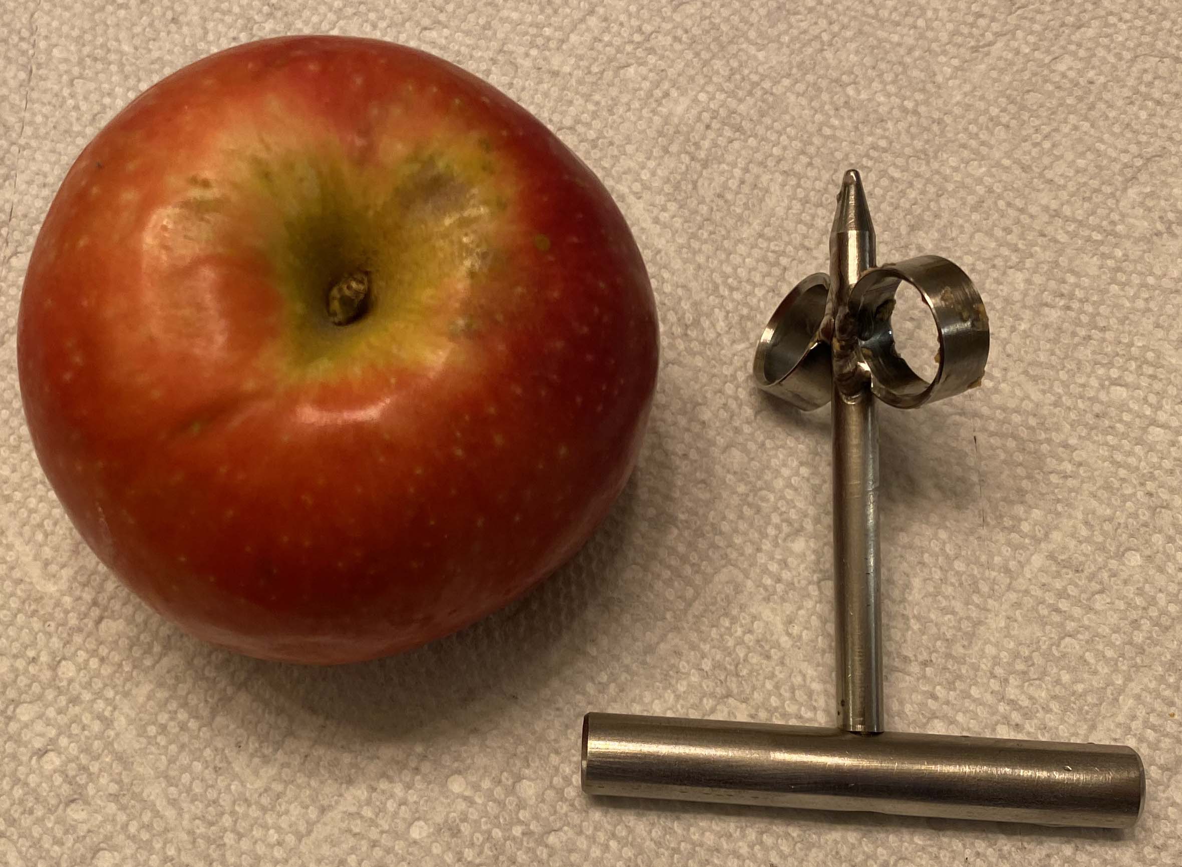 Coring Apple